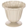 Floristik24 Tigela decorativa, troféu cor creme, pequena, 10 cm