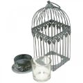 Floristik24 Decoração de vela, gaiola de pássaro com vidro tealight, lanterna de metal, decoração de casamento, lanterna de 22cm