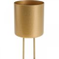 Floristik24 Castiçal plug-in porta-velas dourado metal Ø5cm 4 unidades