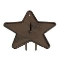 Floristik24 Castiçal estrela para furar 9cm marrom