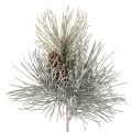 Floristik24 Ramo de pinheiro artificial com pinhas, estilo invernal, 40 cm