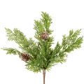 Floristik24 Ramo de pinheiro artificial com pinhas, coberto de neve, 28 cm, 6 peças