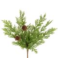 Floristik24 Ramo de pinheiro artificial com pinhas, 28 cm, 6 peças