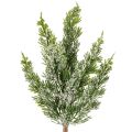 Floristik24 Ramo de pinheiro artificial coberto de neve para arranjos florais e decoração de Advento, 40 cm, 3 peças