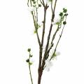 Floristik24 Ramo de flor de cerejeira ramo decorativo branco artificial flor de cerejeira decoração de primavera
