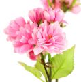 Floristik24 Ramo de flor de cerejeira rosa 100 cm