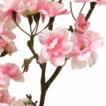 Floristik24 Ramo de flor de cerejeira rosa 105cm