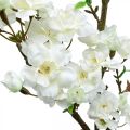 Floristik24 Ramo de cereja branco artificial decoração de primavera ramo decorativo 110cm