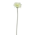Floristik24 Flores Artificiais Gérbera Branca 45cm