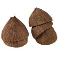 Floristik24 Decoração de tigela de coco meio coco natural Ø7-9cm 5 unidades