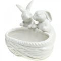 Coelhos com ninho, decoração de mesa, ninho de Páscoa, decoração em porcelana, tigela decorativa branca L15cm A11cm