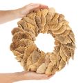 Guirlanda de fungos em forma de árvore, cor natural, para decoração de porta ou parede, 37 cm | Floristik24.pt