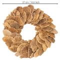 Guirlanda de fungos em forma de árvore, cor natural, para decoração de porta ou parede, 37 cm | Floristik24.pt