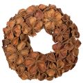 Floristik24 Guirlanda de lótus seca, guirlanda decorativa para porta, 35 cm