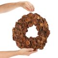 Guirlanda de lótus seca, guirlanda decorativa para porta, 35 cm | Floristik24.pt