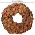 Guirlanda de lótus seca, guirlanda decorativa para porta, 35 cm | Floristik24.pt