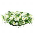 Floristik24 Coroa de flores branco deco Coroa de porta Bellis flores de seda Ø30cm