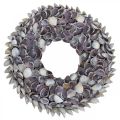 Floristik24 Coroa de conchas, conchas naturais violetas lascadas, anel feito de conchas Ø25cm