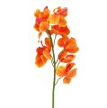 Floristik24 Orquídea artificial Mokara Orange 50cm 6pcs