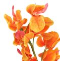 Floristik24 Orquídea artificial Mokara Orange 50cm 6pcs
