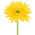 Floristik24 Flores artificiais de gérbera, amarelo ensolarado, flor de jardim, 47 cm, 6 peças