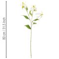 Flor artificial Gloriosa, branca e amarela, elegante ramo florido para decoração, 80 cm, 3 peças. | Floristik24.pt
