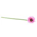 Floristik24 Flores artificiais Gérbera rosa 47cm