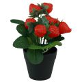 Floristik24 Planta artificial de morango em vaso planta artificial 19cm