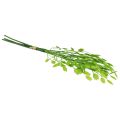Floristik24 Grama artificial decorativa grama trêmula verde 47 cm pacote de 3 peças