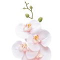 Floristik24 Orquídea Artificial Rosa Phalaenopsis Real Touch 83cm
