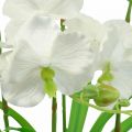 Floristik24 Orquídeas artificiais flores artificiais em vaso branco 60cm
