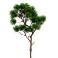 Floristik24 Ramo de abeto artificial, ramo de pinheiro 62 cm