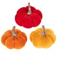 Floristik24 Conjunto de abóboras decorativas em veludo em três cores, mini abóboras de 5 cm, 12 peças.