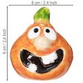 Abóbora decorativa em miniatura, 6 cm, 2 peças, para uma decoração divertida de outono. | Floristik24.pt