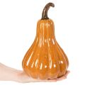 Decoração de mesa de abóbora de cerâmica para o outono, 26 cm | Floristik24.pt