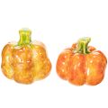 Floristik24 Abóboras decorativas para decoração de mesa no outono, 6 cm, 2 unidades.