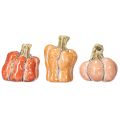 Floristik24 Conjunto de Abóboras: Abóboras decorativas pequenas para decoração de outono, 5 cm, 3 peças