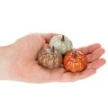 Conjunto de Mini Abóboras Decorativas, Decorações de Outono e Halloween, Cores Sortidas, 4cm, 24 Peças | Floristik24.pt