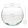 Floristik24 Vaso de bola vaso de vidro transparente vaso de mesa redondo vaso de flores Ø18cm Alt.14cm