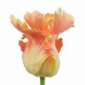 Floristik24 Flor artificial, papagaio tulipa laranja, flor de primavera 63cm