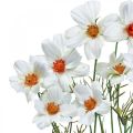 Floristik24 Flores artificiais Cosmea flores de seda branca H51cm 3 unidades