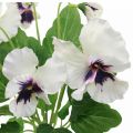 Floristik24 Flores Artificiais, Flores de Seda, Amores-Perfeitos Roxo Branco 29cm