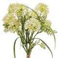 Floristik24 Flores artificiais decoração de alho branco cebolas ornamentais 34cm 3 unidades em cacho