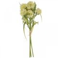 Floristik24 Flores artificiais decoração de alho branco cebolas ornamentais 34cm 3 unidades em cacho