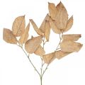 Floristik24 Folhas de ramos de decoração de outono de plantas artificiais lavadas em branco L70cm