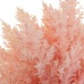 Astilbe artificial ramos decorativos rosa artificial A38cm 5uds