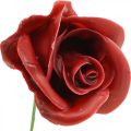Rosas artificiais Rosas de cera Bordeaux cera de rosas decorativas Ø6cm 18 un | Floristik24.pt