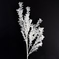 Floristik24 Galho artificial fosco decorativo para decoração de inverno branco 78cm 2 peças