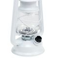 Floristik24 Lanterna LED regulável branco quente 24,5cm com 15 lâmpadas