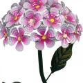 Floristik24 Flor solar, decoração de jardim LED, crisântemo decorativo rosa L55cm Ø15cm